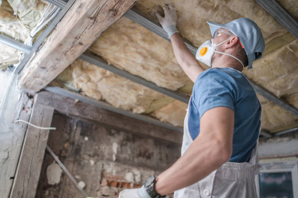 Best Spray Foam Insulation  in USA